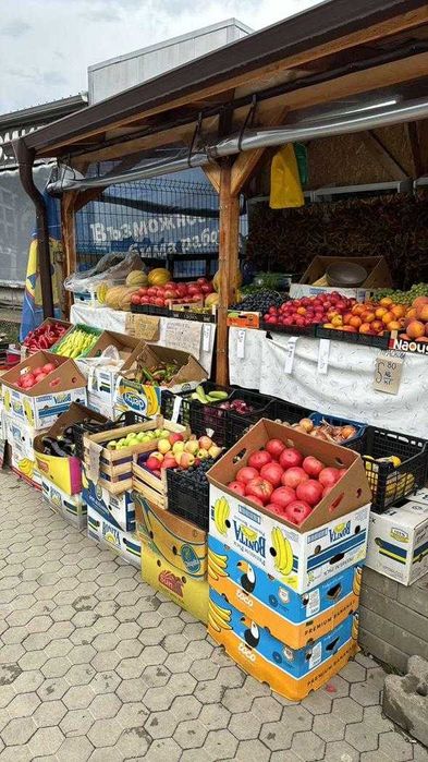 Разработен бизнес