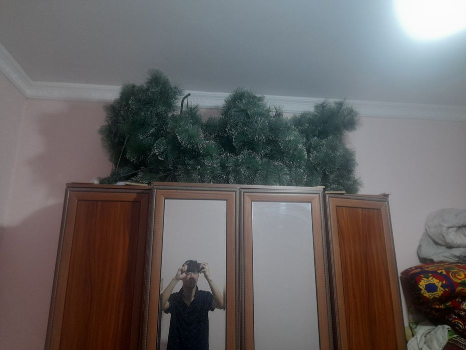 Ёлка сатылады 500 мин 2 метр