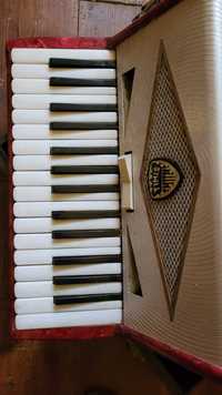 Vand acordeon Timis Coral