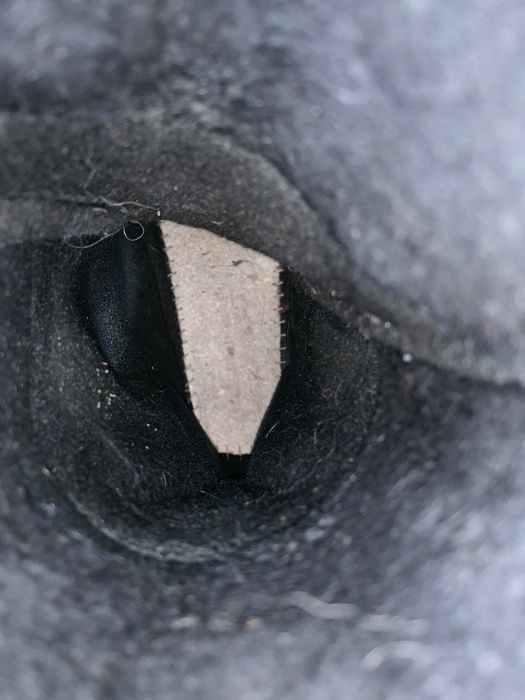 Clapari Salomon T3, Marime EU:38.5-39/ Mondo:24.5