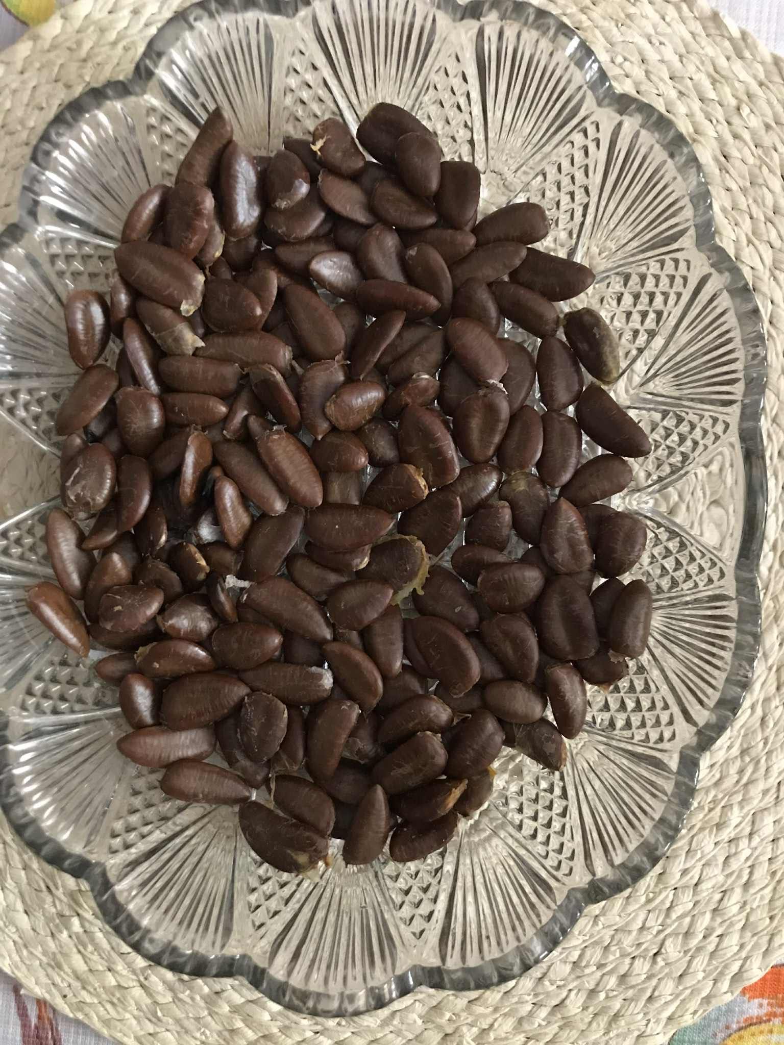 Продавам фиданки Асимина