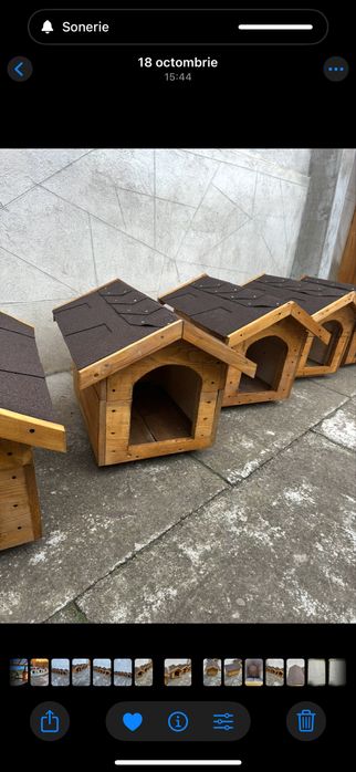 Cușcă căsuță câine talie medie/mare și mică cu livrare în toată țara