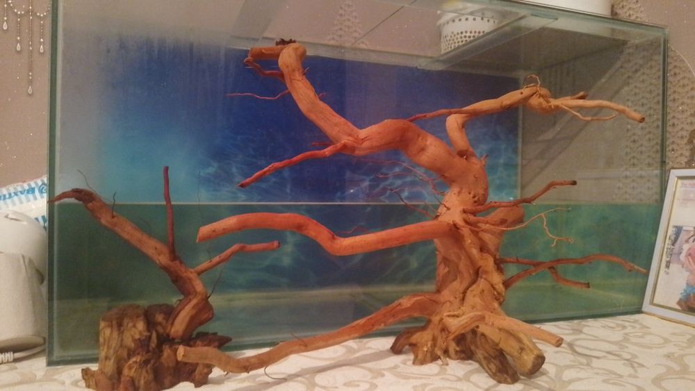 Обмен на аквариумные ростения