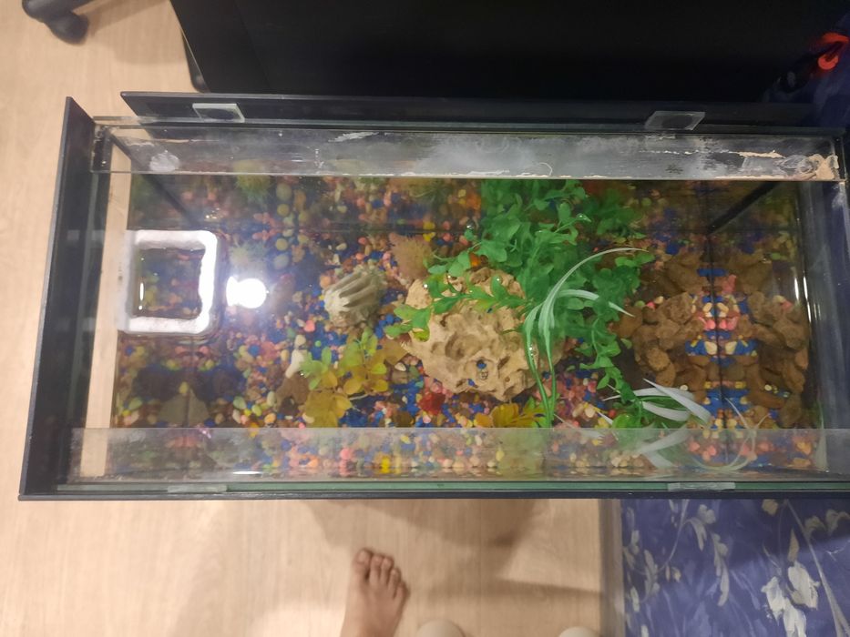 Продам аквариум.
