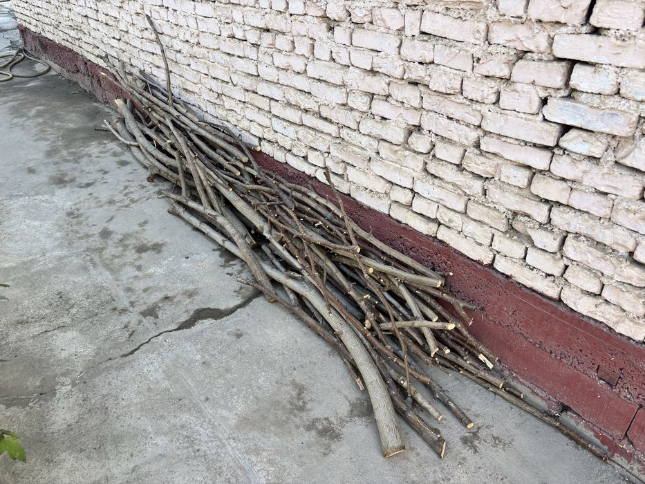 Продам дрова орешины цена договорная