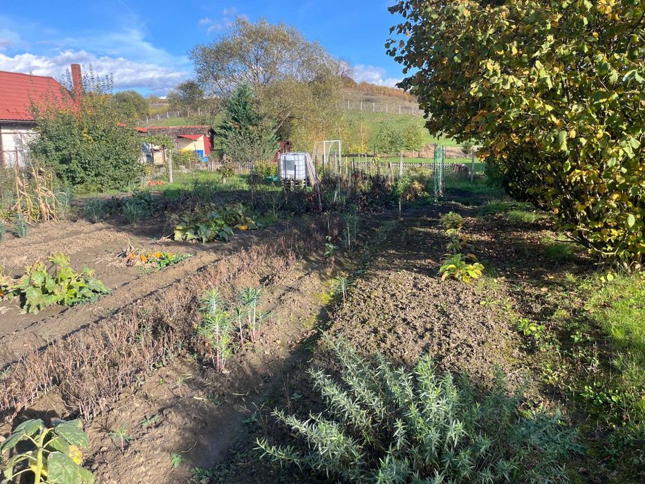 Casă și 3300 mp. teren în Sigmir .Diferite variante