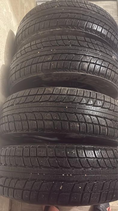 Шины зимние TRIANGLE