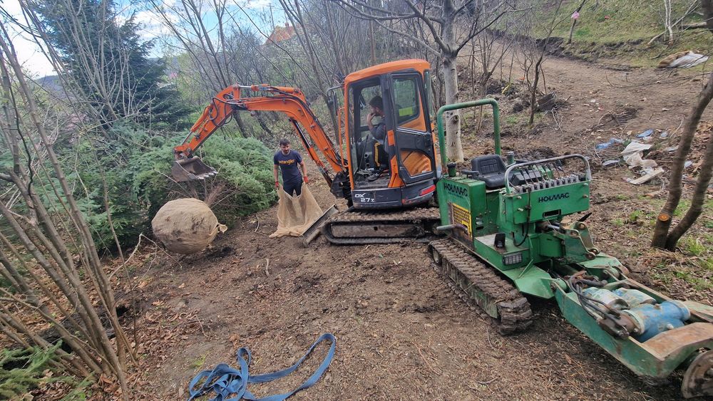 Transplantari copaci cu utilaj specializat