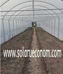 Solarii (sere) de gradina pentru cultivarea florilor sau legumelor