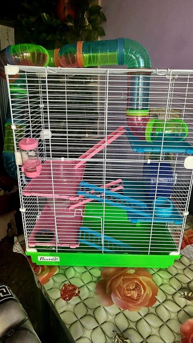 Vand cusca pt hamsteri