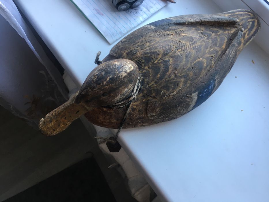 Продам реалистичное чучеле кряковой утки