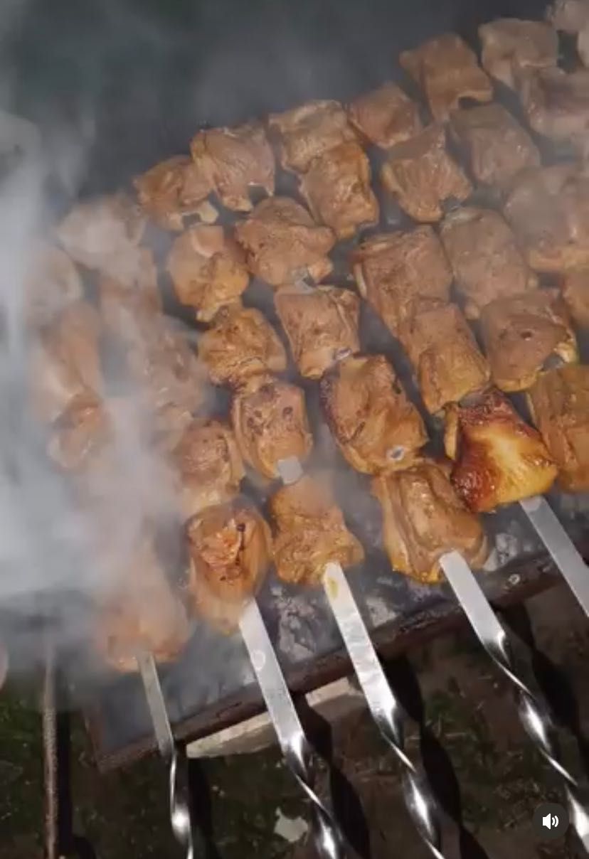 Вкусный шашлык ! Зачаганск
