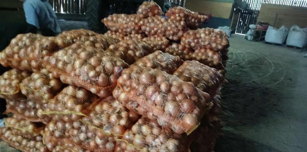 Ceapã galbenã, de calitate excelenta, produs local.