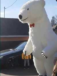 Urs polar de 3 metri pentru evenimente speciale  Fram ursul polar