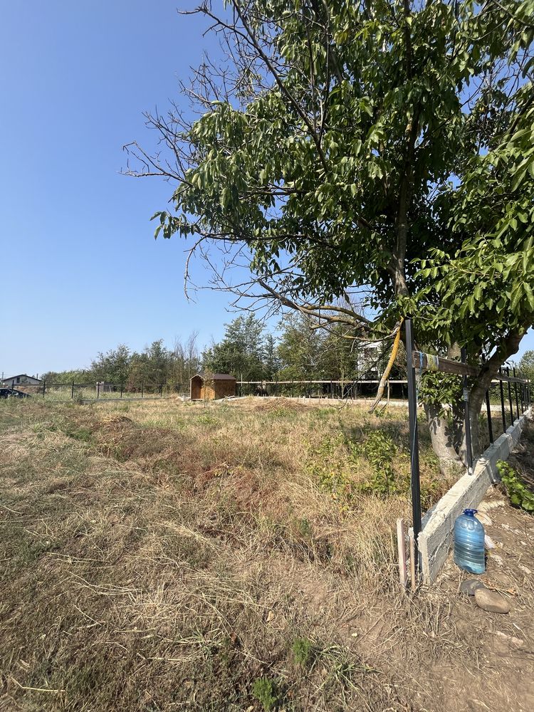 Teren 500 mp – Găneasa, Ilfov – Gard + Magazie OSB