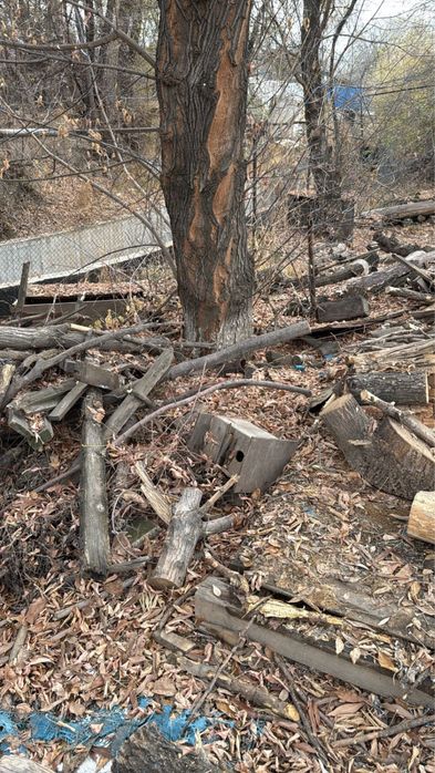 Продам дрова (деревья) — твёрдые породы, сухие, недорого