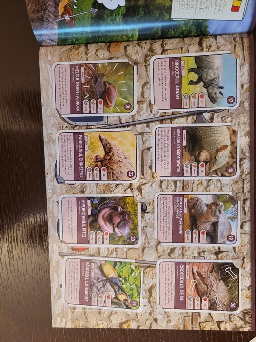 Catalog mega image completat