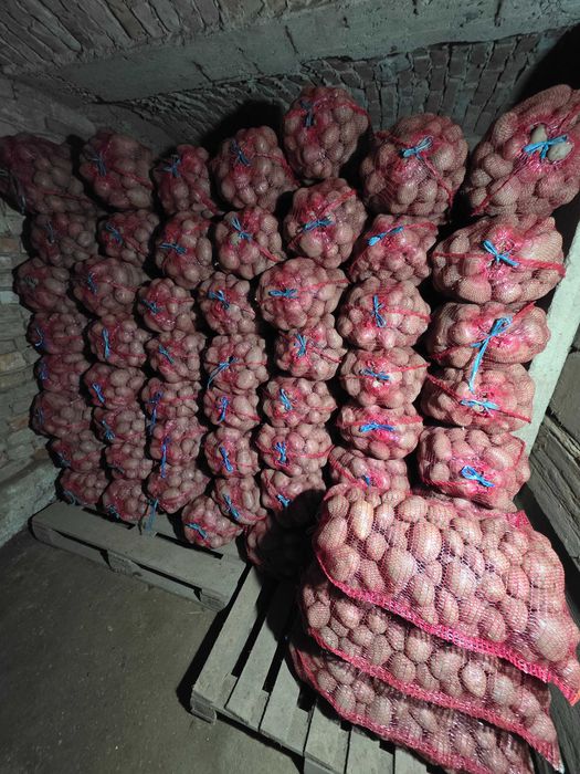 Vand cartofi de consum