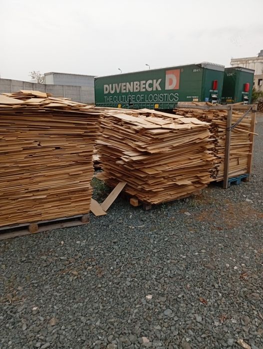 Deșeuri lemn stejar