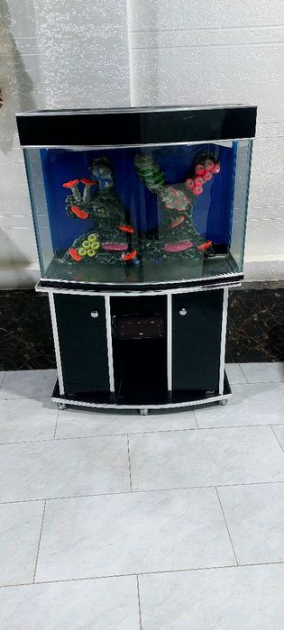 Аквариум 300 литров всё в комплекте