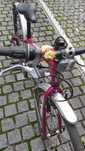 Biciclete Islabikes Beinn 24, bicicleta pliabila Gazelle Tranza