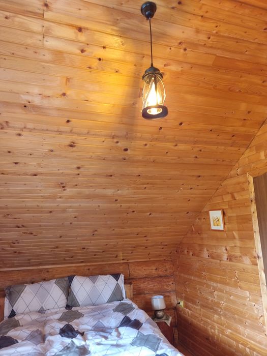 Cabana Muschetarilor