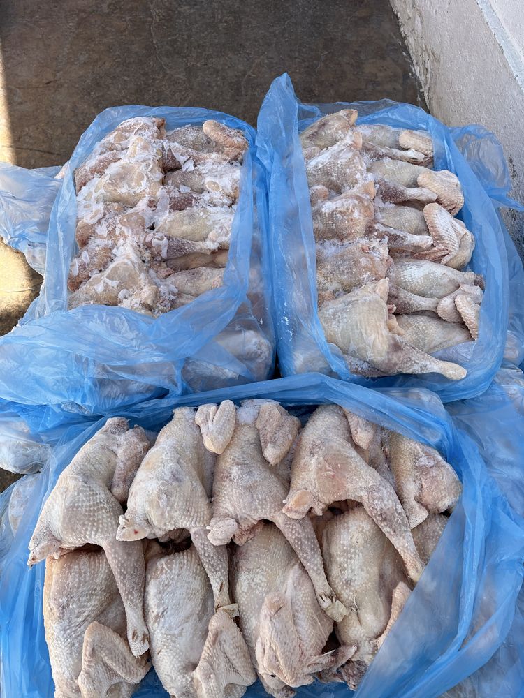 Храни за животни сурови и замразени