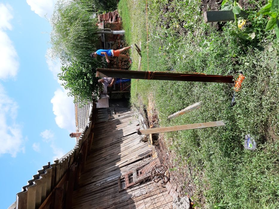 Hale metalice 12x35x6