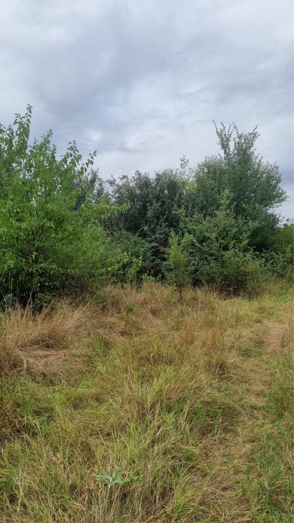Продава се Парцел в с. Братя Даскалови, Област Стара Загора - 1200 кв.м за 5 €/кв.м - Снимка #1
