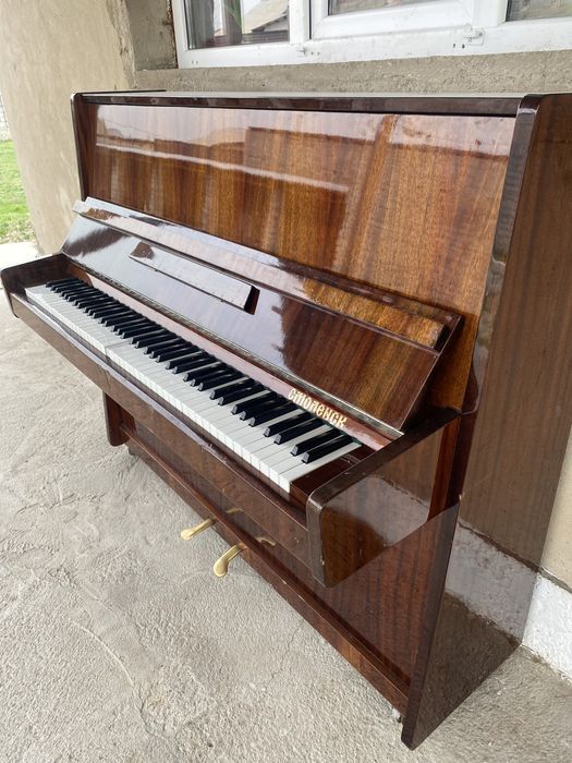 Пионина ,продаю срочно ,обращайтесь   по номеру