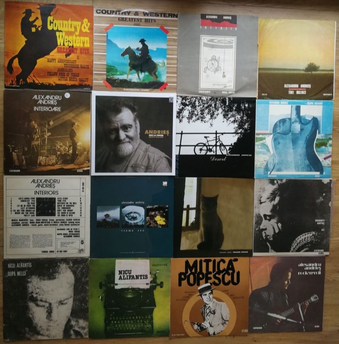 Vinyl - Vinil rock Folk Mircea Baniciu M. Vintila Phoenix FFN Semnal M