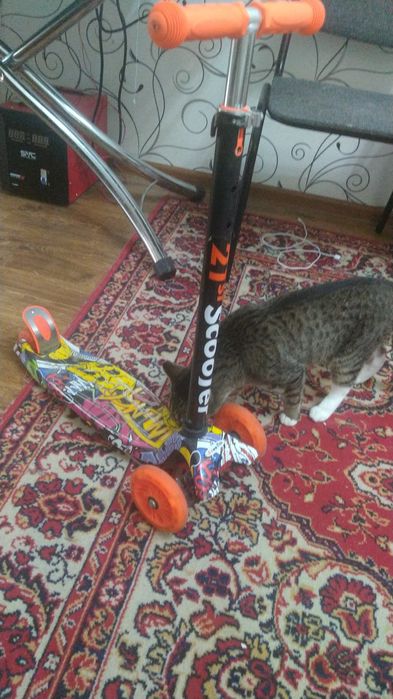 Детский транспорт