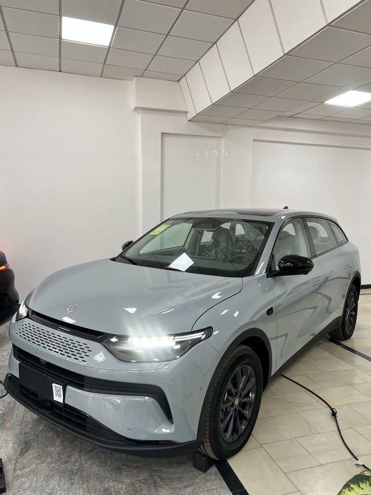 LeapMotor C11 Smart 300KM Tok