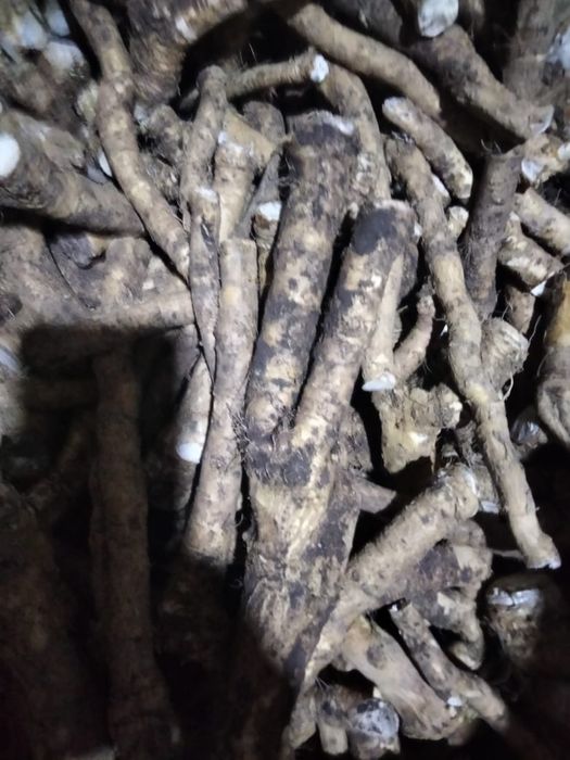 Корень хрена дачный свежий чищеный