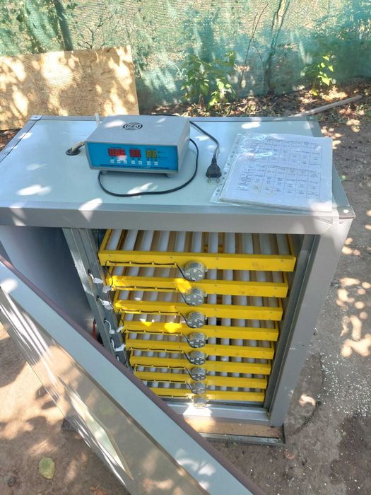 Incubator profesional