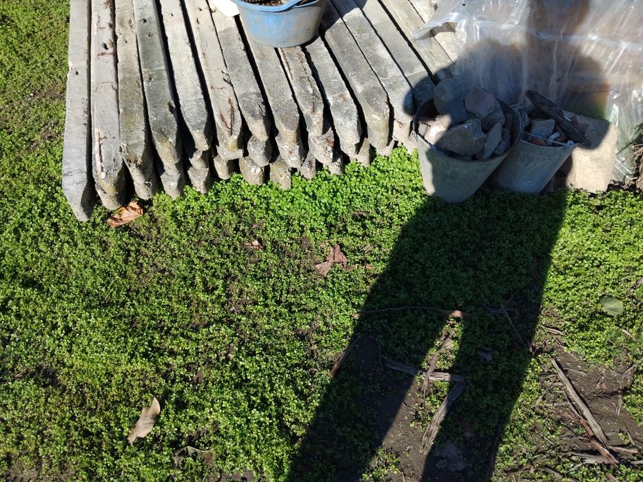 Циментови колове за лоза