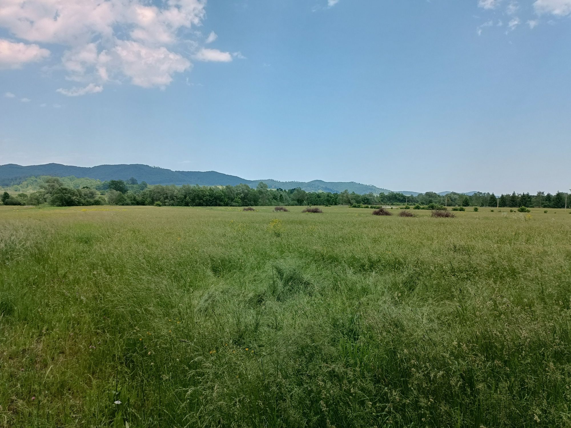 Teren vânzare Mănăstirea Neamț