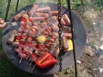 Gratar disc Agricol