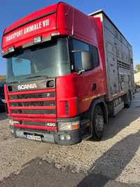 Scania Auto transport animale vii