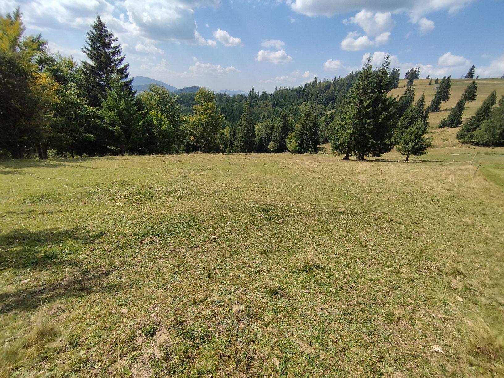 Teren Pasul Tihuța/Piatra Fântânele