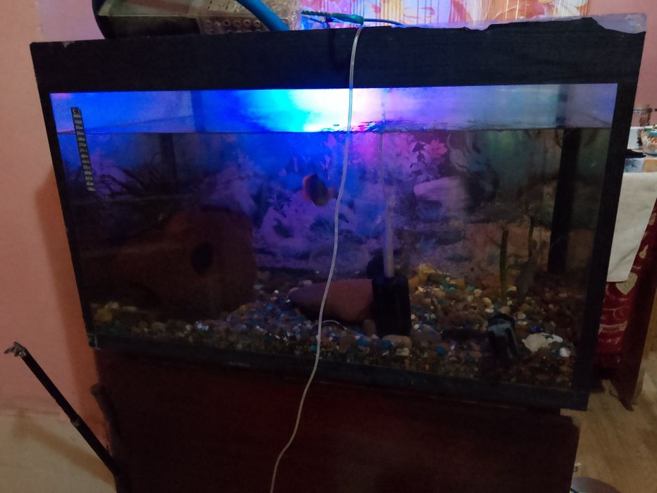 Аквариум с рыбами полный комплект