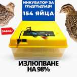 Инкубатор за 154 яйца от пъдпъдъци
