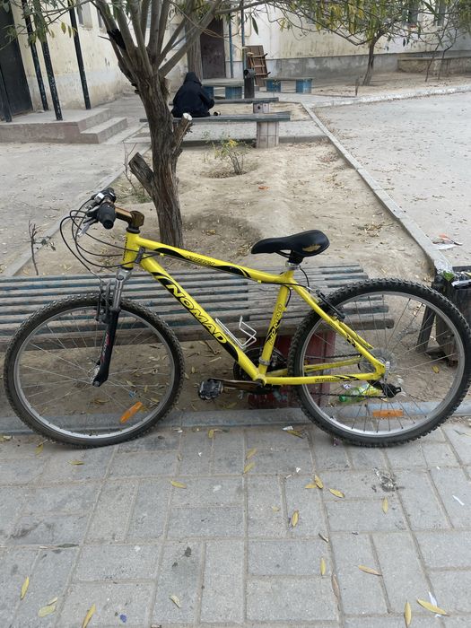 Велик хорошом состаяние