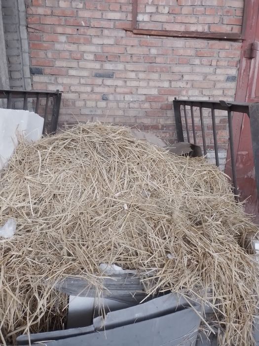 Солома бесплатно
