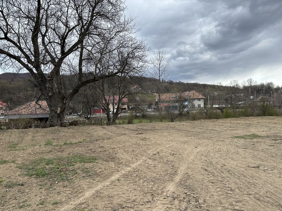 Teren Lunca Moinesti