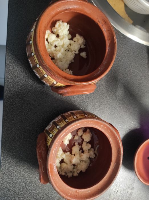 Ciuperca tibetana Tibet kefir lapte super bio