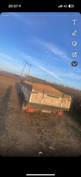 Porumb boabe productie 2025