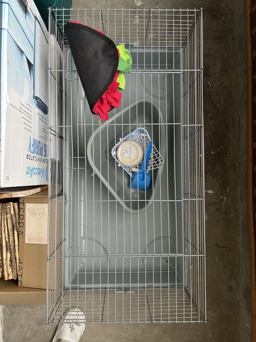 Cusca + accesorii iepuras