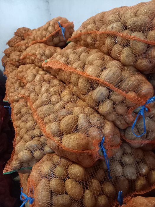 Cartofi consum rosu si alb