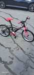 Bicicleta pentru fete